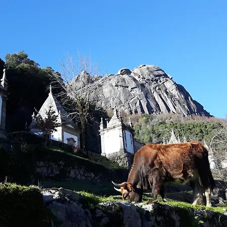 Penedino Mountain Cottage Arcos de Valdevez Exterior foto