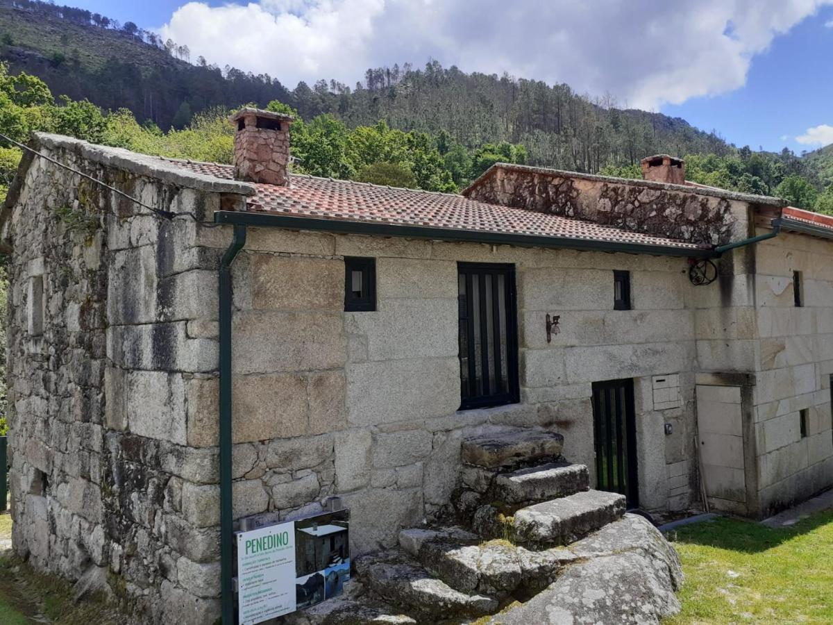 Alojamento de Turismo Selvagem Penedino Mountain
